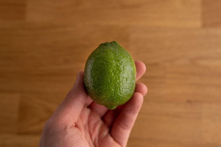 Lime in hand
