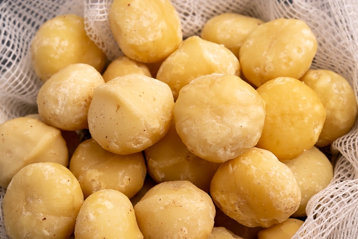 Macadamia nuts closeup