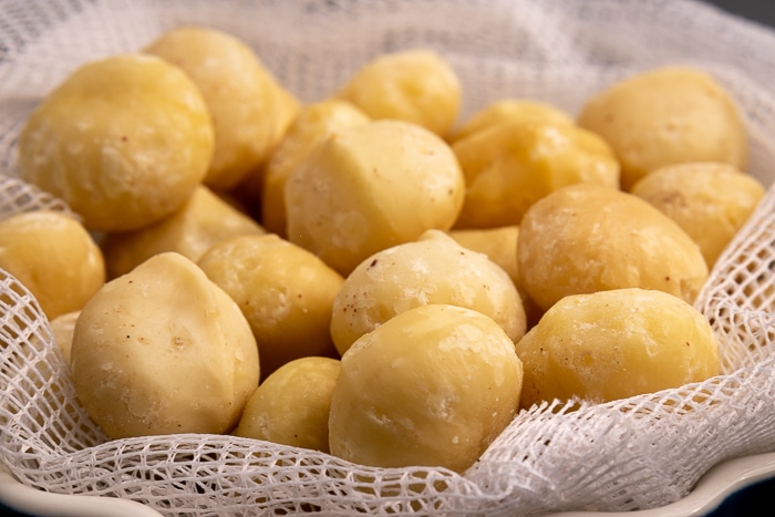 Macadamia nuts side closeup