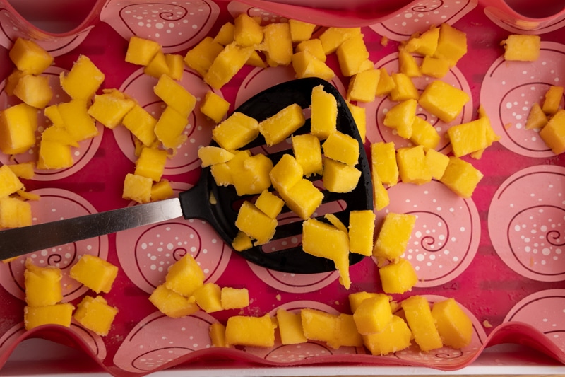 Mango chunks after pre freezing