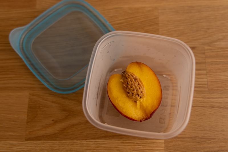 Nectarine half in an airtight container