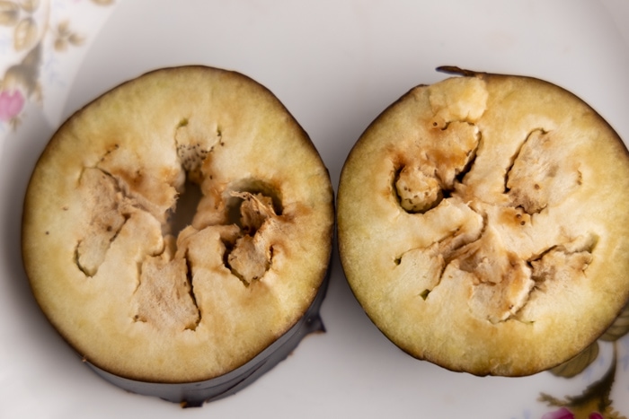 Old eggplant's insides