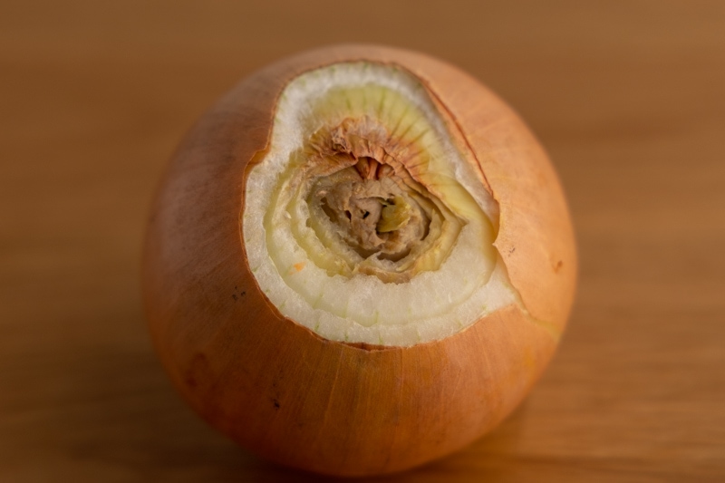 Onion going bad from the inside