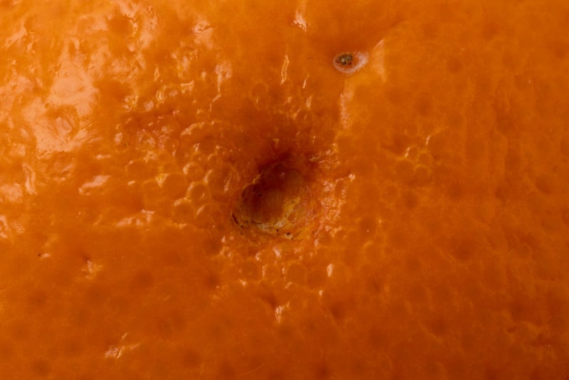 Orange punctured spot
