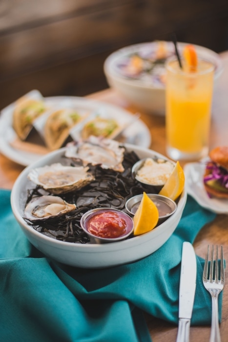 Oysters in a white bowl and cocktail sauce