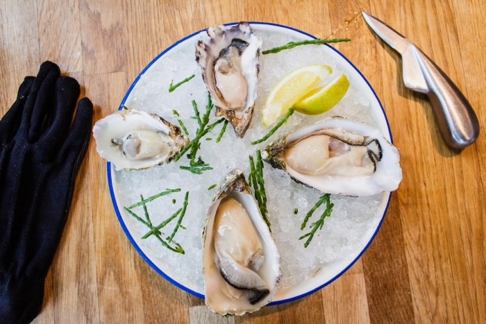 Oysters on a white plate