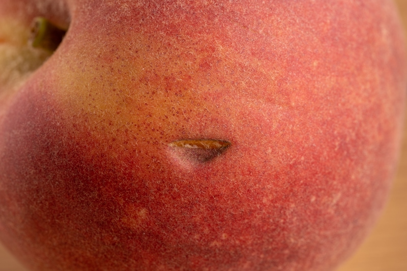 Peach: hole in the skin