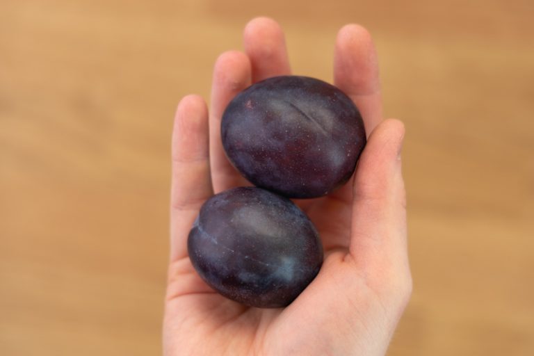 Plums in hand