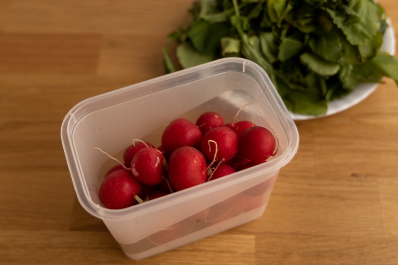 Prepping radishes for storage