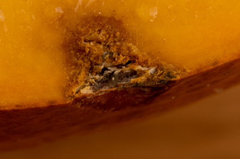 Pumpkin with damaged rind after cutting up