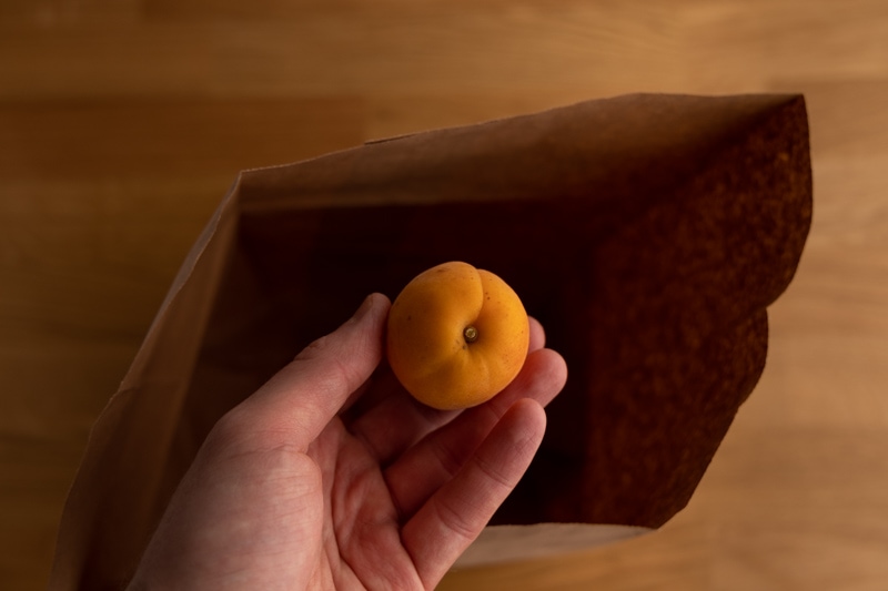 Putting an apricot in a brown bag