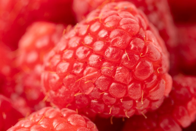 Raspberry closeup