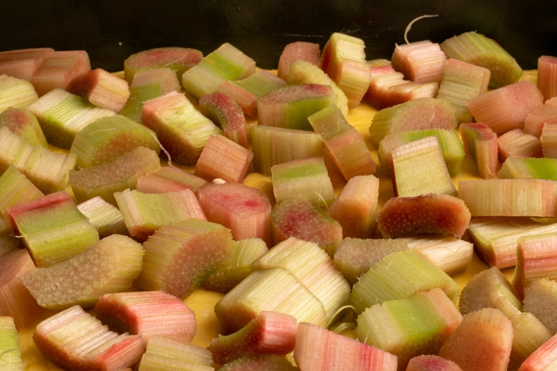 Rhubarb pie top