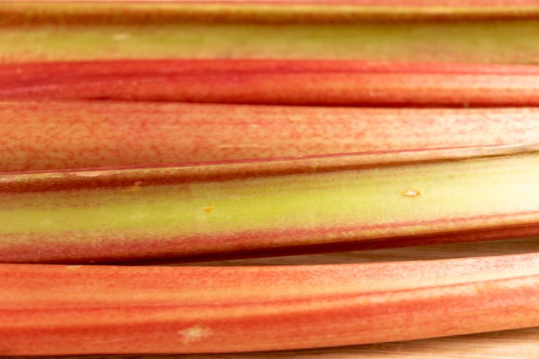 How To Store Fresh Rhubarb