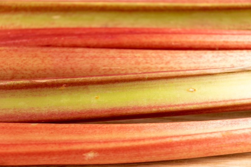 Rhubarb stalks