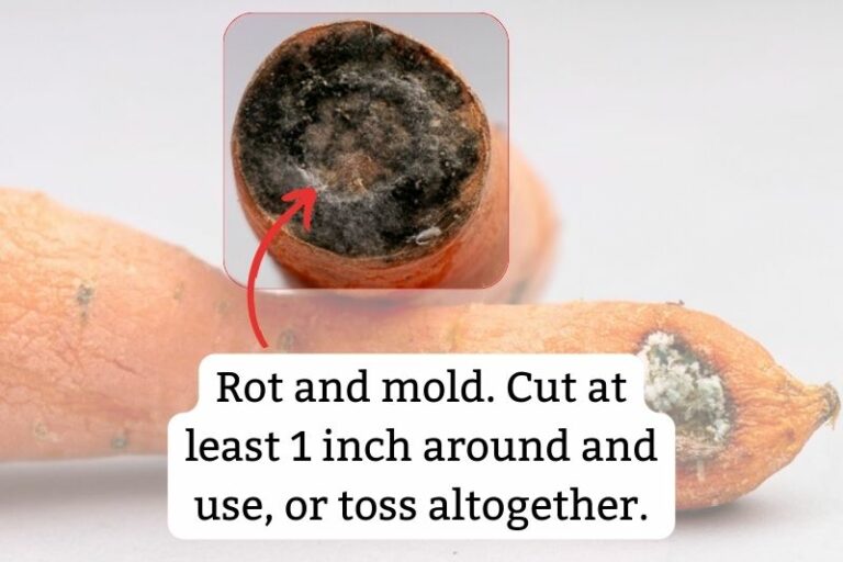 How to Tell If Carrots Are Bad? [4 Signs of Spoilage] - Does It Go Bad?