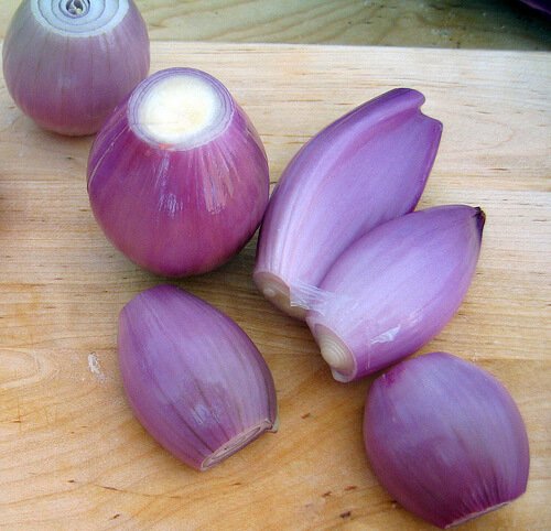 A couple of shallots
