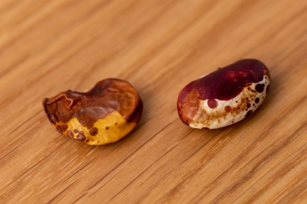 Shriveled and discolored dried beans