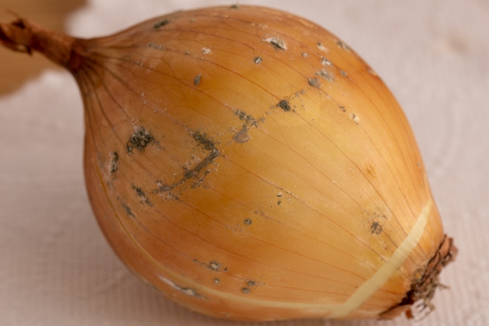 How to Tell if Onion Is Bad? [5 Signs of Spoilage]
