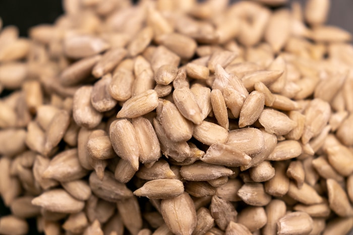 Sunflower seeds closeup