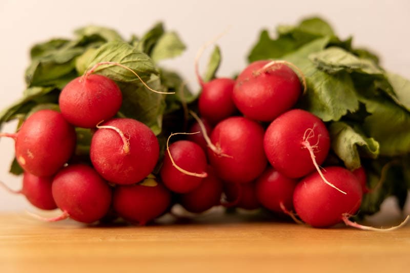 Two bunches of radishes