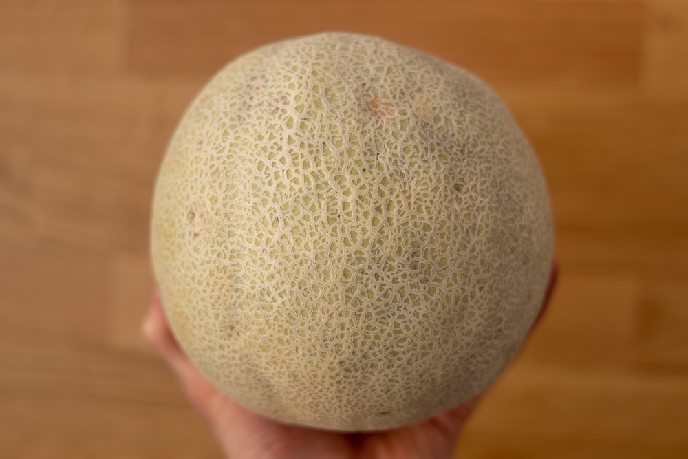 Whole cantaloupe