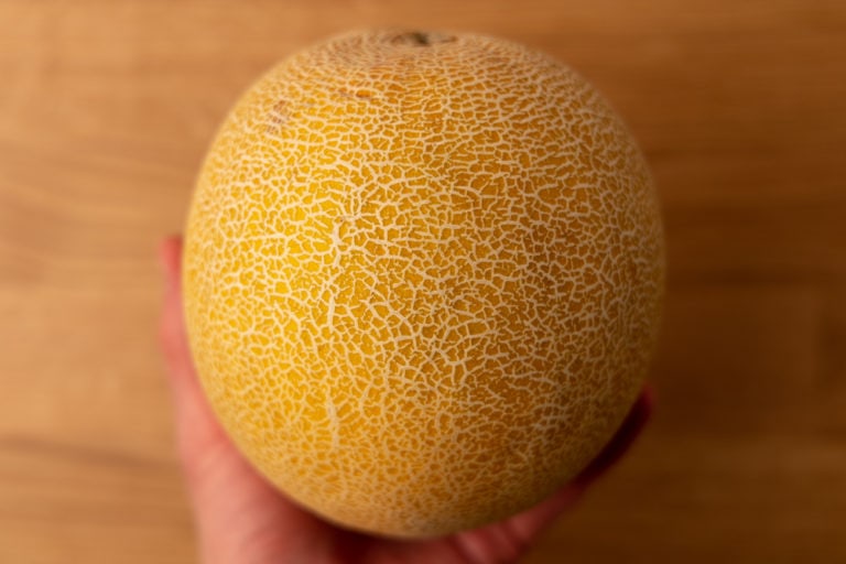 Whole honeydew melon