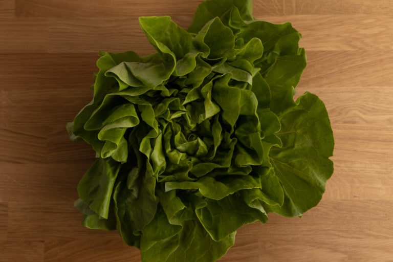 How Long Does Lettuce Last and How to Tell if It’s Bad?