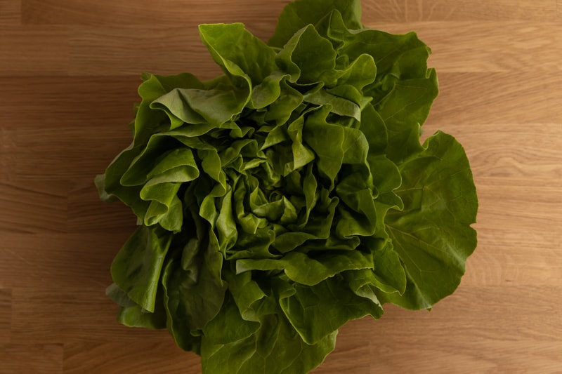 Whole butter lettuce