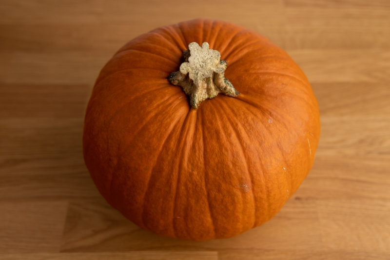 How Long Do Pumpkins Last?