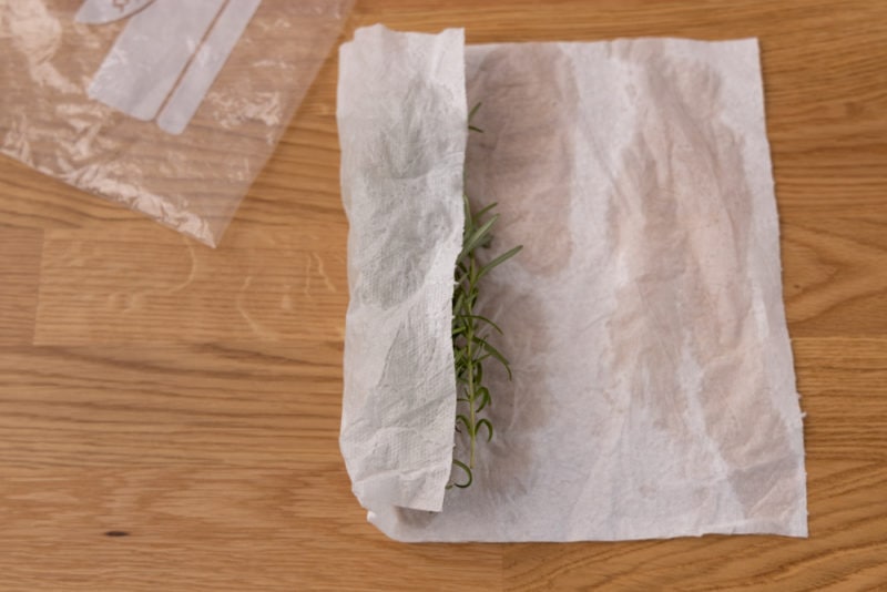 Wrapping fresh rosemary in a wet paper towel