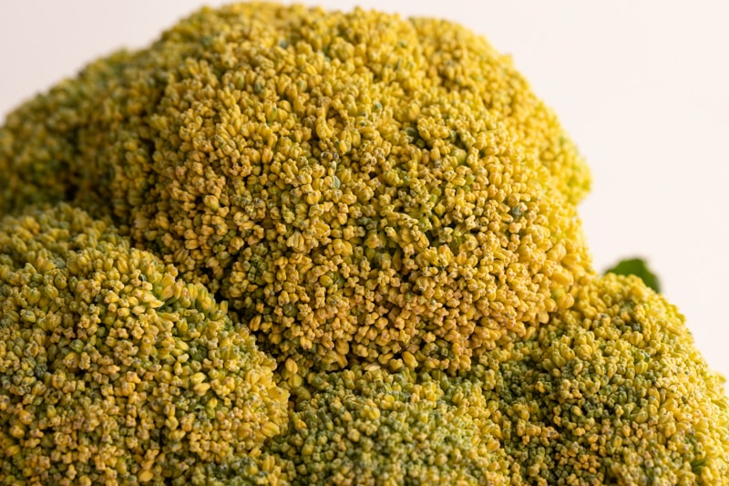 Yellowing broccoli