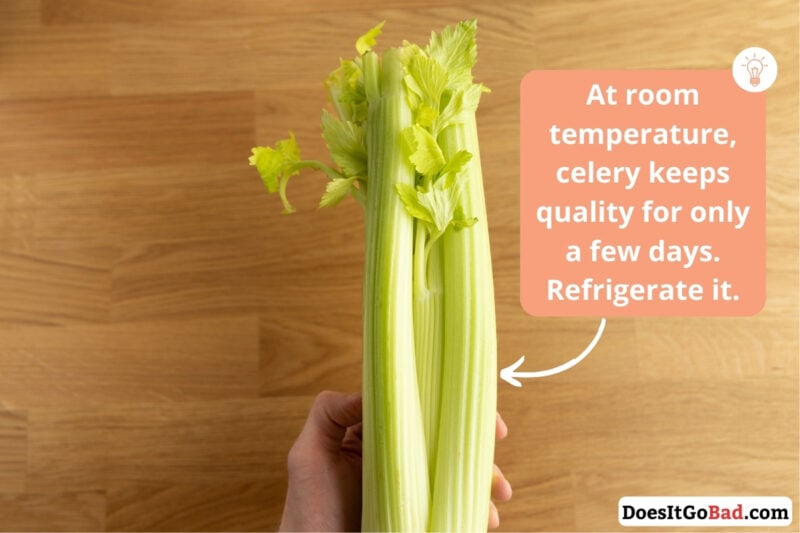 celery in hand