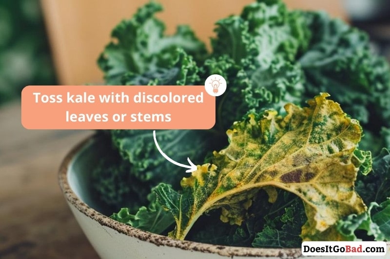 Discolored Kale